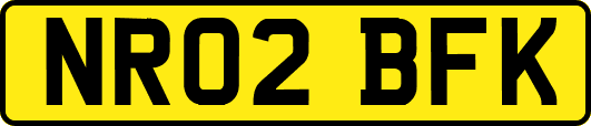 NR02BFK