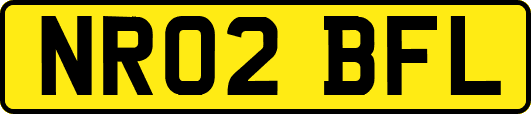 NR02BFL