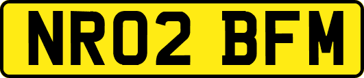 NR02BFM
