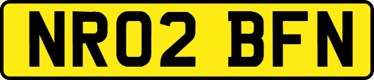 NR02BFN