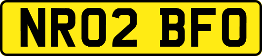 NR02BFO