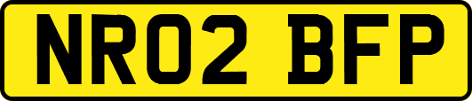 NR02BFP