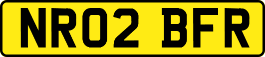 NR02BFR