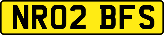 NR02BFS