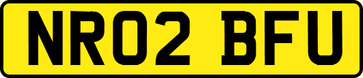 NR02BFU