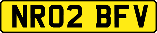 NR02BFV