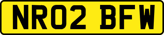 NR02BFW