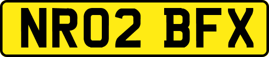 NR02BFX