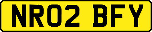 NR02BFY