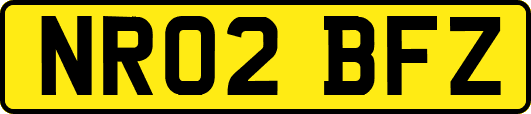 NR02BFZ