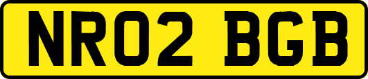 NR02BGB