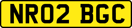 NR02BGC