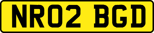 NR02BGD