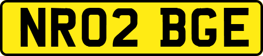 NR02BGE