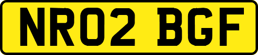 NR02BGF