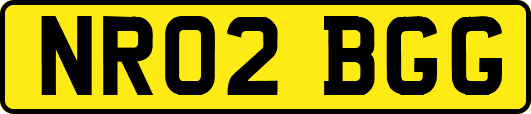 NR02BGG