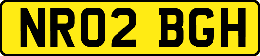 NR02BGH