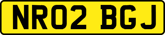 NR02BGJ