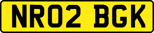NR02BGK