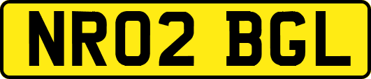 NR02BGL