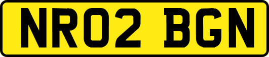 NR02BGN