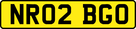 NR02BGO
