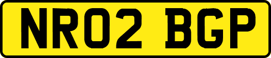 NR02BGP