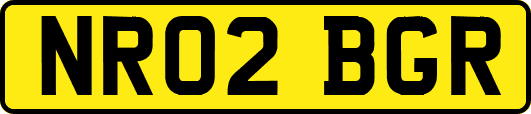 NR02BGR