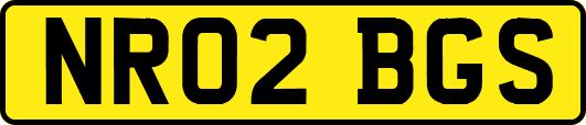 NR02BGS