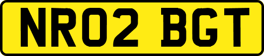 NR02BGT