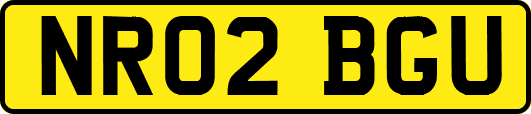 NR02BGU