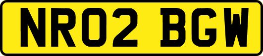 NR02BGW