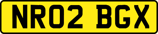 NR02BGX