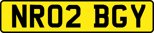 NR02BGY