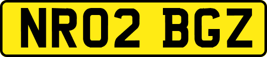 NR02BGZ