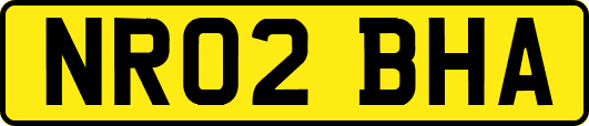 NR02BHA