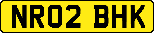NR02BHK
