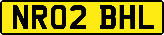 NR02BHL