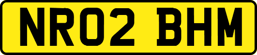 NR02BHM