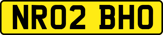 NR02BHO