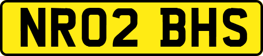 NR02BHS