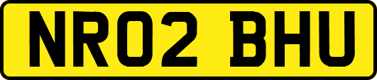 NR02BHU