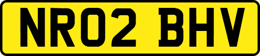 NR02BHV
