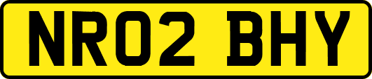 NR02BHY