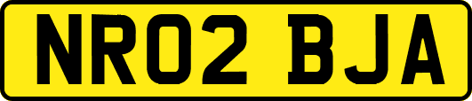 NR02BJA