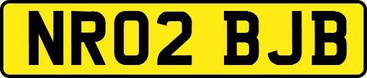 NR02BJB