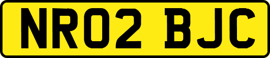 NR02BJC