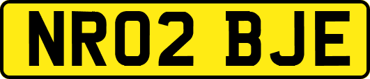 NR02BJE
