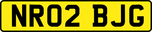 NR02BJG