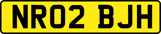 NR02BJH